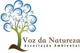 VN_logo